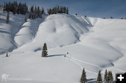 Bustin Fluff. Photo by Arnold Brokling.