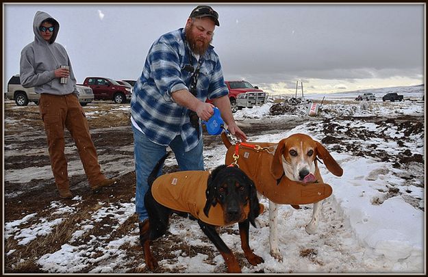 Carhart Dogs. Photo by Terry Allen.