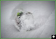 Wino's on Ice. Photo by Terry Allen.