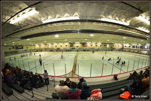 View From the Stands. Photo by Terry Allen.