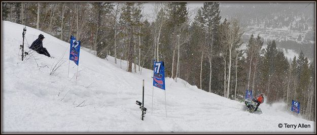 Snowy Saturday. Photo by Terry Allen.