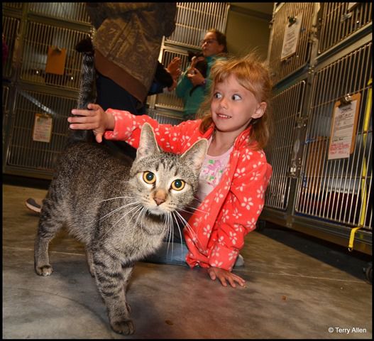 Miss Scanlon is Impressed by Cats Tail. Photo by Terry Allen.