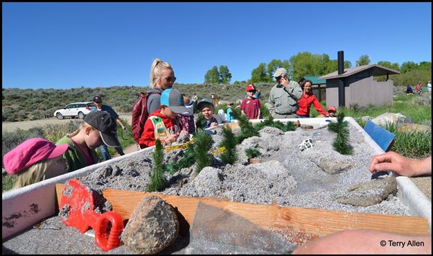 Learning about Aquatic Habitat. Photo by Terry Allen.