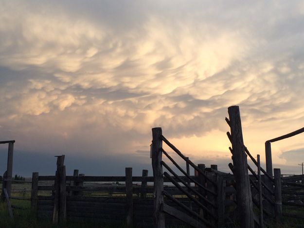 Evening thunderhead. Photo by Mindi Crabb.