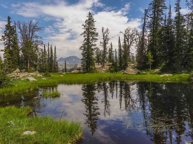 Photographers Point pond. Photo by Dave Bell.