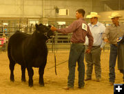 Champion. Photo by Dawn Ballou, Pinedale Online.