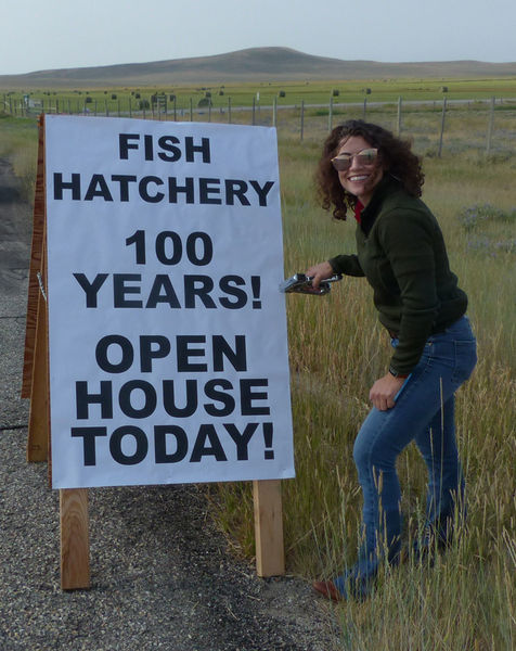 Sara puts up signs. Photo by Dawn Ballou, Pinedale Online.