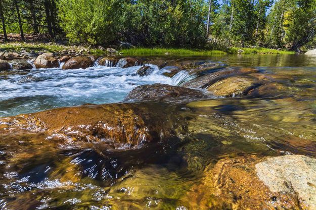 Refreshing stream. Photo by Dave Bell.