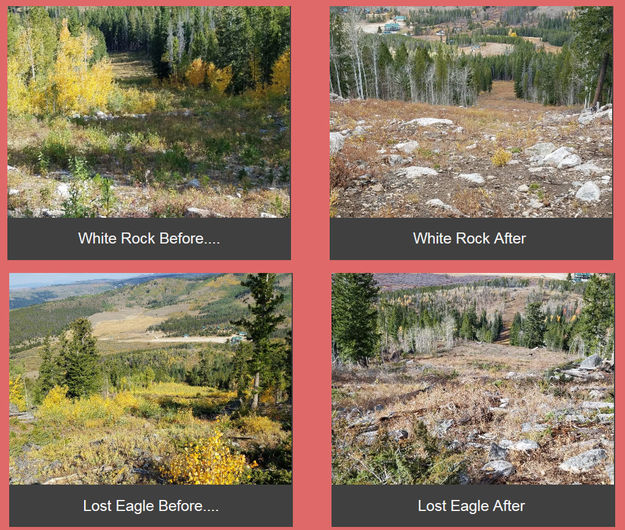 Work on ski runs. Photo by White Pine Ski Area.