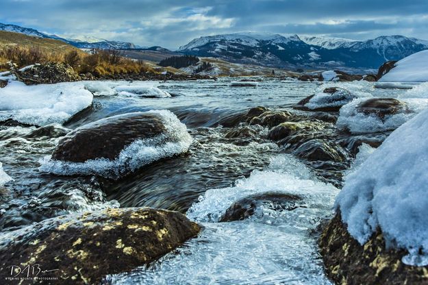 Sparkly Ice. Photo by Dave Bell.