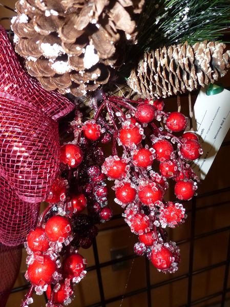 Red berries. Photo by Dawn Ballou, Pinedale Online.