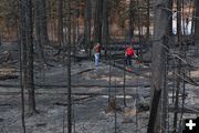 Checkiing the Roosevelt Fire area. Photo by Wyoming Game & Fish Department.