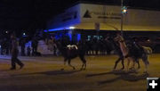 Lighted llamas. Photo by Dawn Ballou, Pinedale Online.