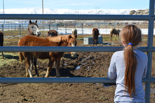 Looking at the horses. Photo by Kandis Johnston, 9, of Pinedale, Wyoming (who her parents call 