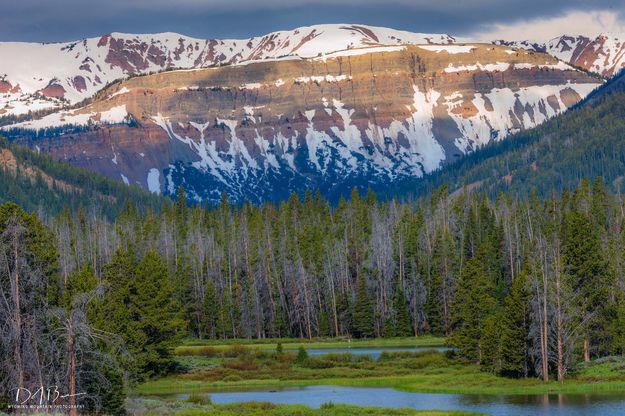 Cottonwood Cliffs. Photo by Dave Bell.