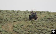 Down the trail. Photo by Dawn Ballou, Pinedale Online.