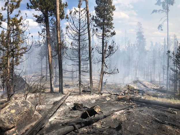 New Fork Fire. Photo by Bridger-Teton National Forest.