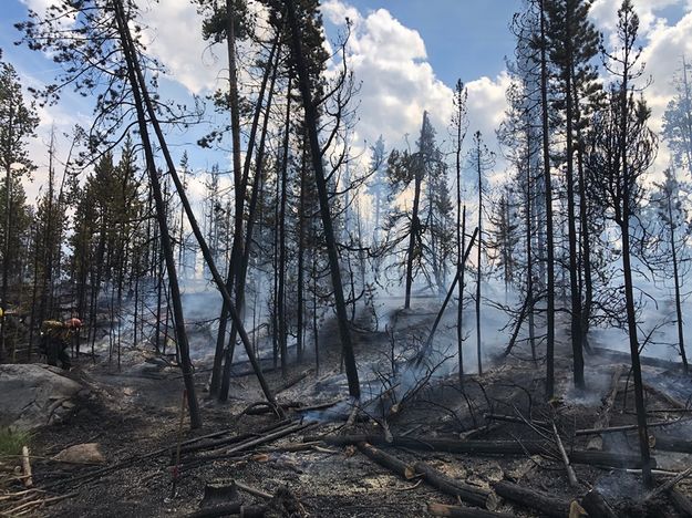 New Fork Fire. Photo by Bridger-Teton National Forest.