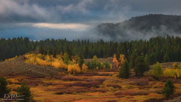 Fall in the Mountains. Photo by Dave Bell.