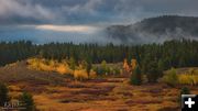 Fall in the Mountains. Photo by Dave Bell.