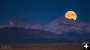 Full Moon Rising. Photo by Dave Bell.