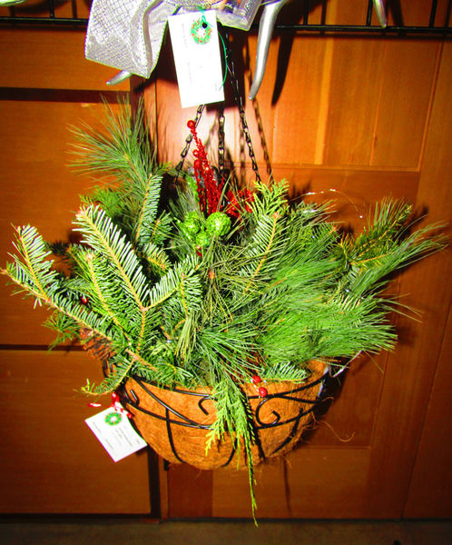 Hanging Basket. Photo by Dawn Ballou, Pinedale Online.