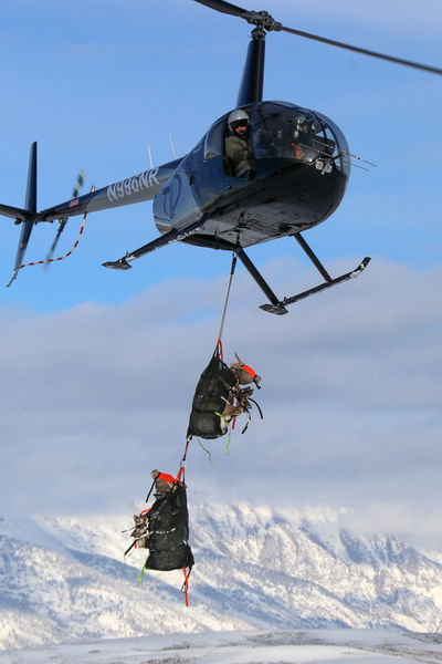 Sheep research. Photo by Wyoming Game & Fish.