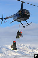 Sheep research. Photo by Wyoming Game & Fish.