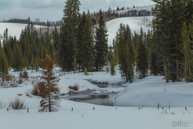 Hoback River. Photo by Dave Bell.