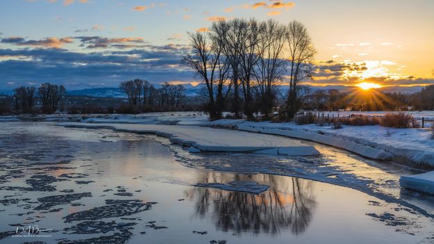 Good morning sunshine. Photo by Dave Bell.