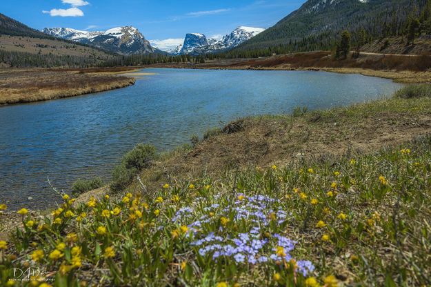 Green River. Photo by Dave Ball.