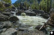 Boulder Creek. Photo by Dave Bell.