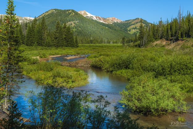 Cottonwood Creek. Photo by Dave Bell.