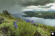 Fremont Lake Snow Squall. Photo by Dave Bell.