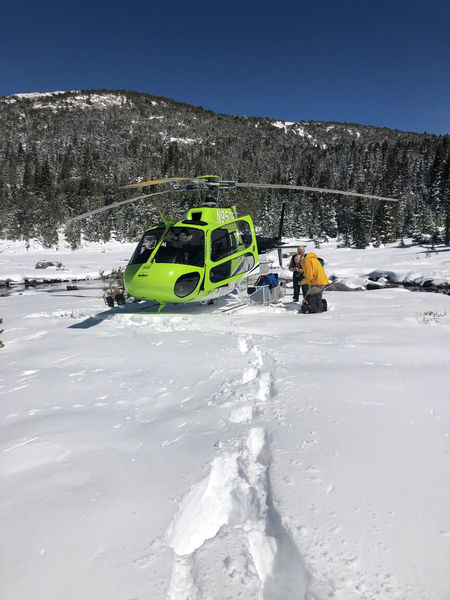 Rescue helicopter. Photo by Tip Top Search & Rescue.