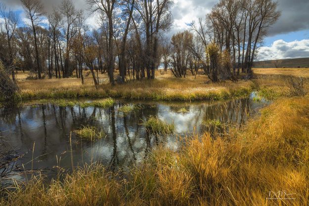 Fall scene. Photo by Dave Bell.