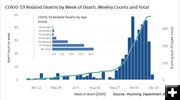 Deaths declining. Photo by Pinedale Online.