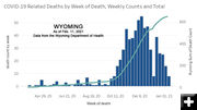 Wyoming COVID-19 deaths. Photo by Wyoming Department of Health.