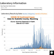 Negative vs Positive cases. Photo by Wyoming Department of Health.