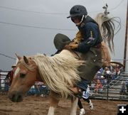 2007 Lil Buckaroo Rodeo. Photo by Pinedale Online.