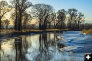 Spring along the Green River. Photo by Dave Bell.