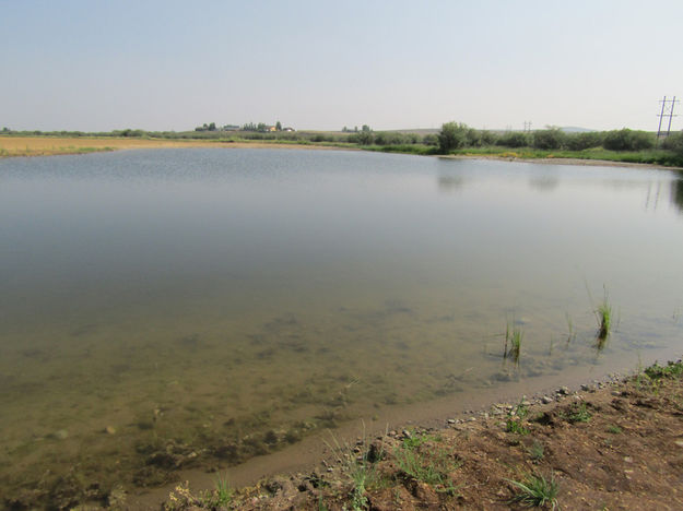 New fishing pond. Photo by Dawn Ballou, Pinedale Online.