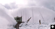 Throwing snow. Photo by Yellowstone National Park.