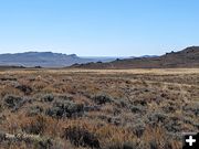 Sagebrush Sea. Photo by Dan Stroud.