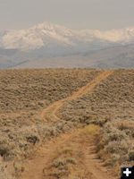 18 miles of desert between water. Photo by Dawn Ballou, Pinedale Online.