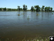 High fast moving water. Photo by Dawn Ballou, Pinedale Online.