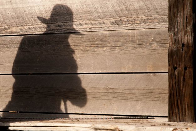 Shadow. Photo by Tanya Hamner.