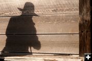 Shadow. Photo by Tanya Hamner.