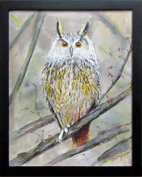 Owl. Photo by Mary Thompson.