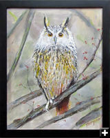 Owl. Photo by Mary Thompson.